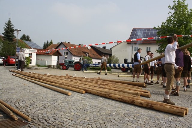 Maibaum 2013